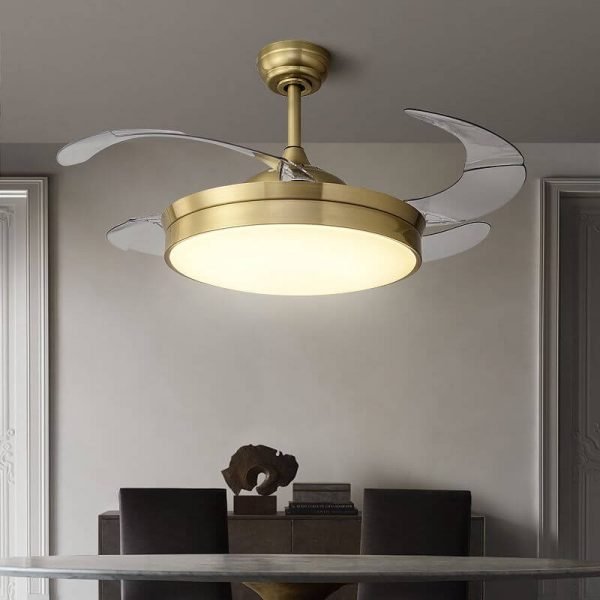 Ceiling fan lamp1