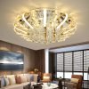 Decoration ceiling light4