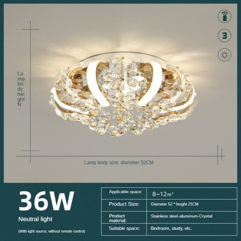 Decoration Flower Led Ceiling Light