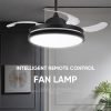 European style fan light6