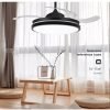 European style fan light7