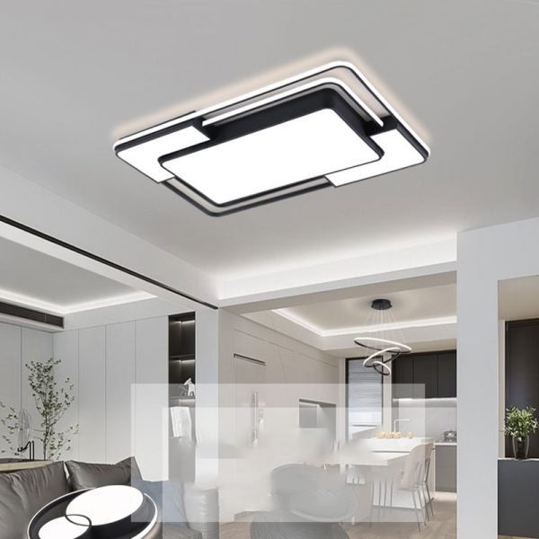 led ceiling lamp (2)