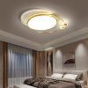 led ceiling lamp (8)