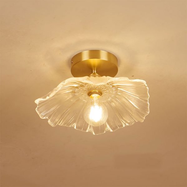 led ceiling lamp (1)