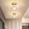 led ceiling lamp (2)