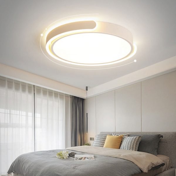 led ceiling lamp (2)