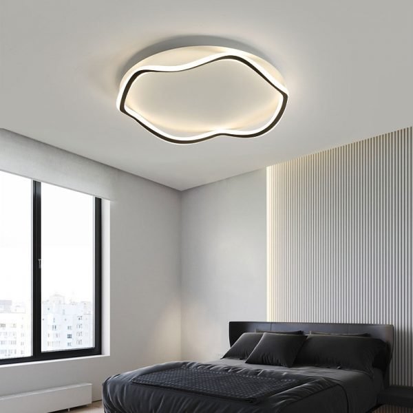 led ceiling lamp (2)