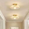 led ceiling lamp (3)