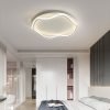 led ceiling lamp (3)