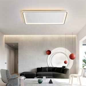 Luxury Led Ceilling Light For Living Room