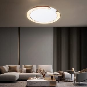 Modern Luxury Dome Ceiling Light For Indoor
