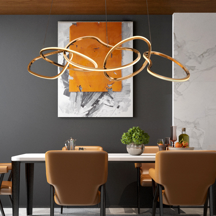 Simple Circle Rings Pendant Light For Decor