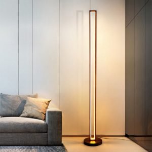 Modern Minimalist Led Floor Light For Home