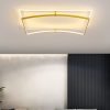 Modern Luxury Square Ceiling light For Decor