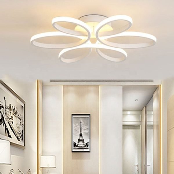 Ceiling lamp (5)